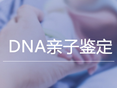个人亲子鉴定